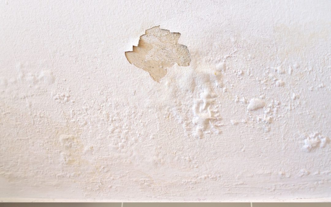 Is It Time To Paint Your Exterior?